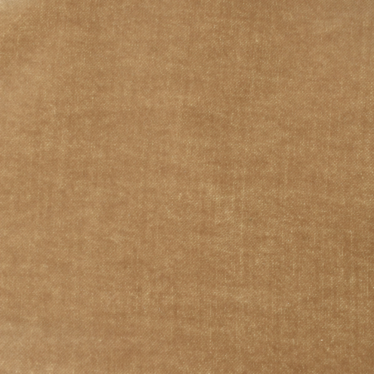 Beige Velvet Blazer made of Cotton/Modal (EU 50)