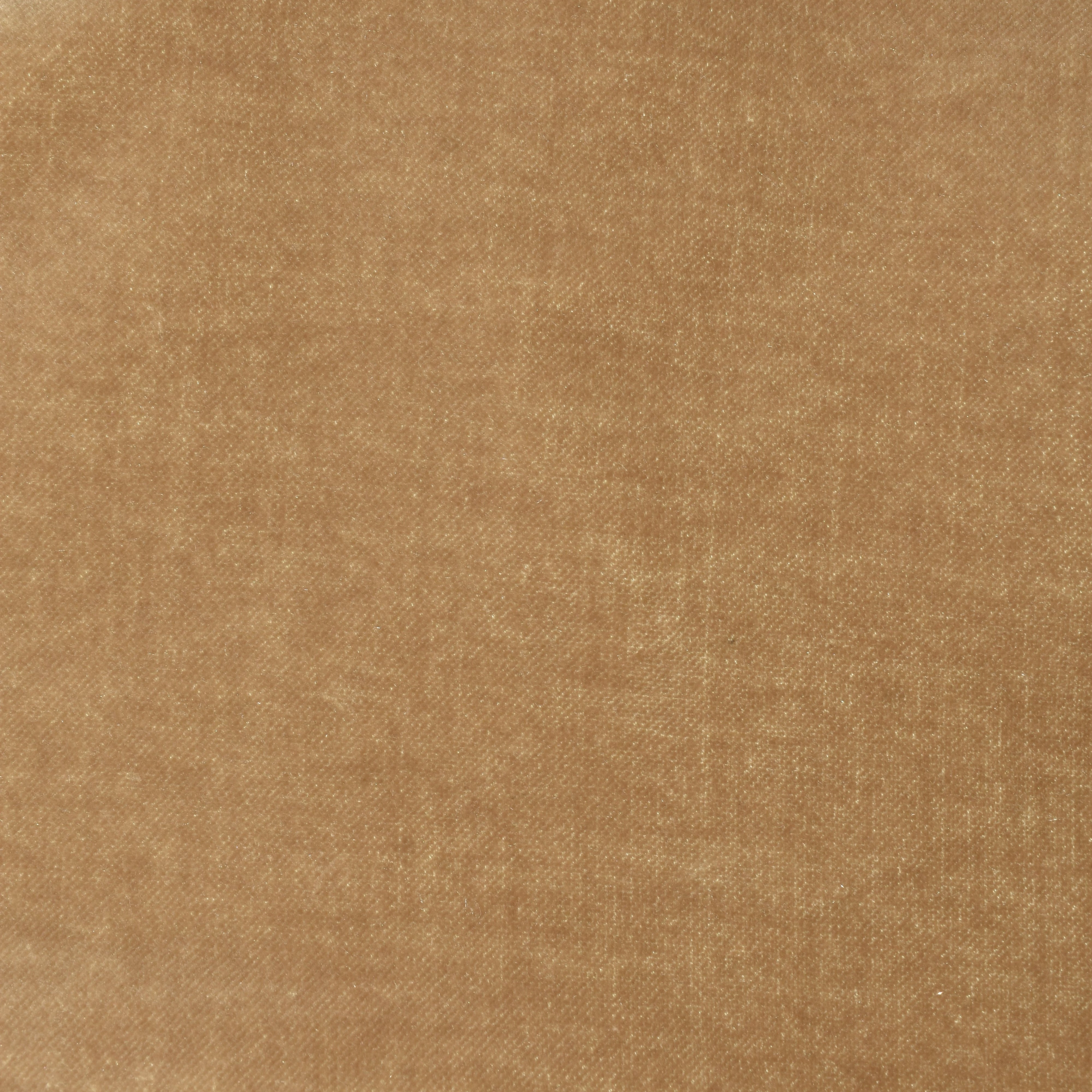 Beige Velvet Blazer made of Cotton/Modal (EU 50)